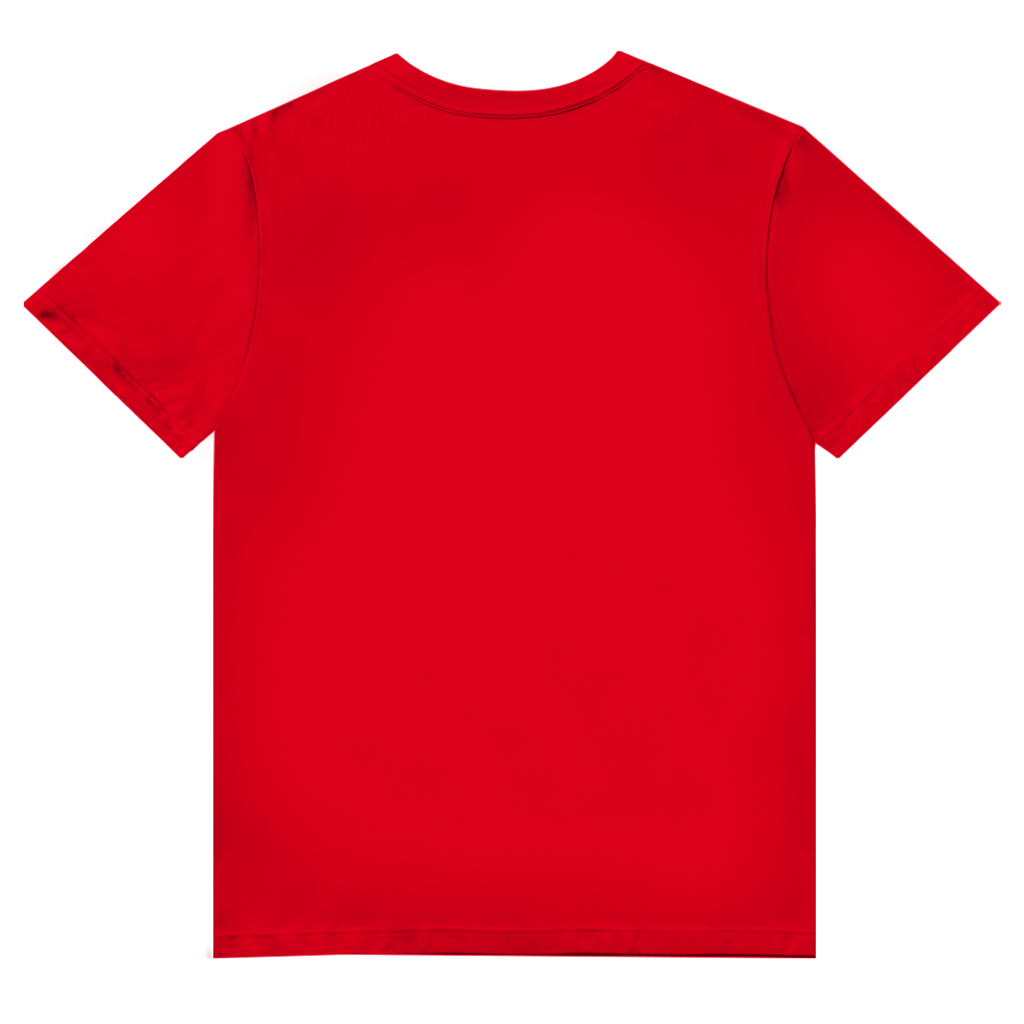 T-Shirt Herren V-Neck "FISCHKOPP" #560