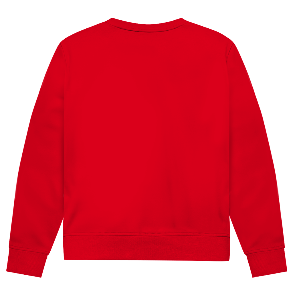 Sweatshirt Herren  "Ostsee Segelschiff" #462  - einseitiger Druck