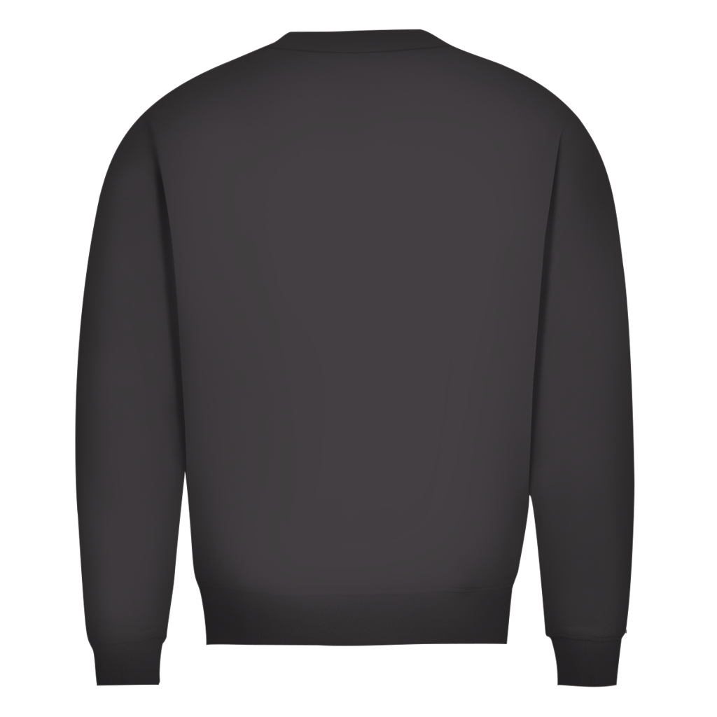Sweatshirt Herren  Kreuzfahrt / Cruise #705 - einseitiger Druck